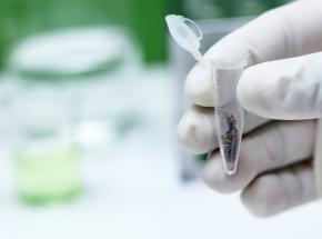 Cannabis: nuove cure per dermatite e psoriasi?