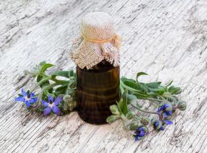 Olio di borragine