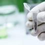 Cannabis: nuove cure per dermatite e psoriasi?